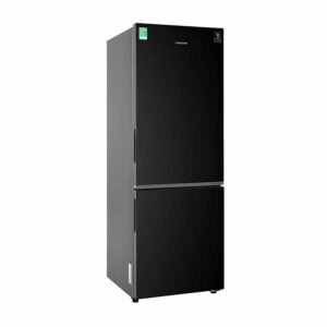 Tủ lạnh Samsung 2 cánh Inverter 310 lít RB30N4010BU/SV