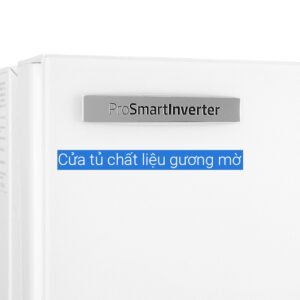 Tủ lạnh Beko Inverter 396 lít RCNT415E50VZGW