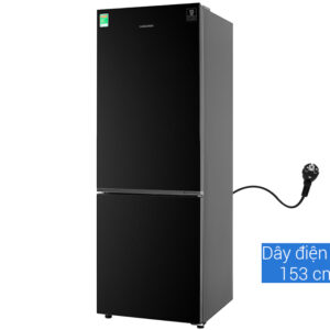 Tủ lạnh Samsung 2 cánh Inverter 310 lít RB30N4010BU/SV